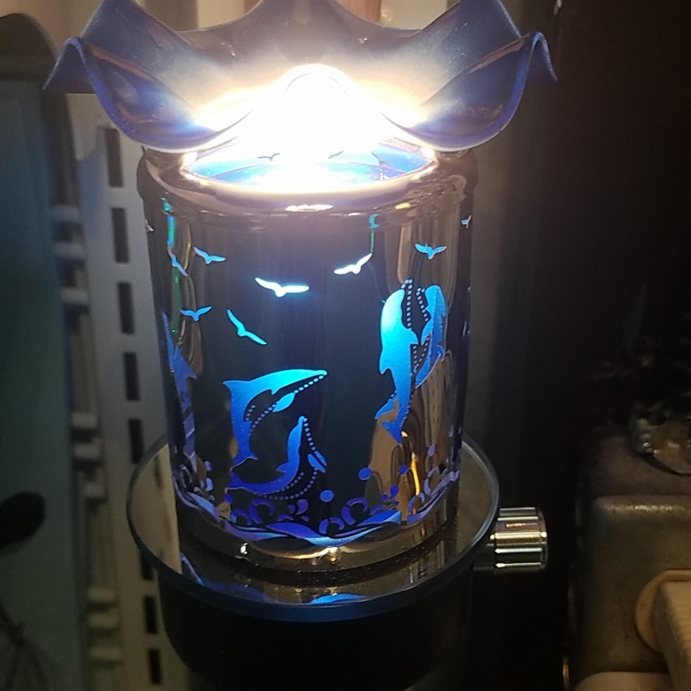 Dolphin oil burner